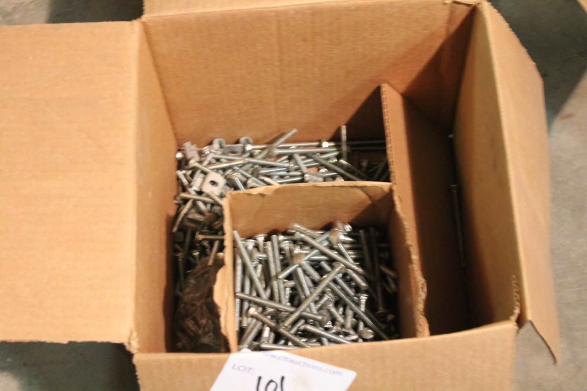 1/4" Carriage Bolts