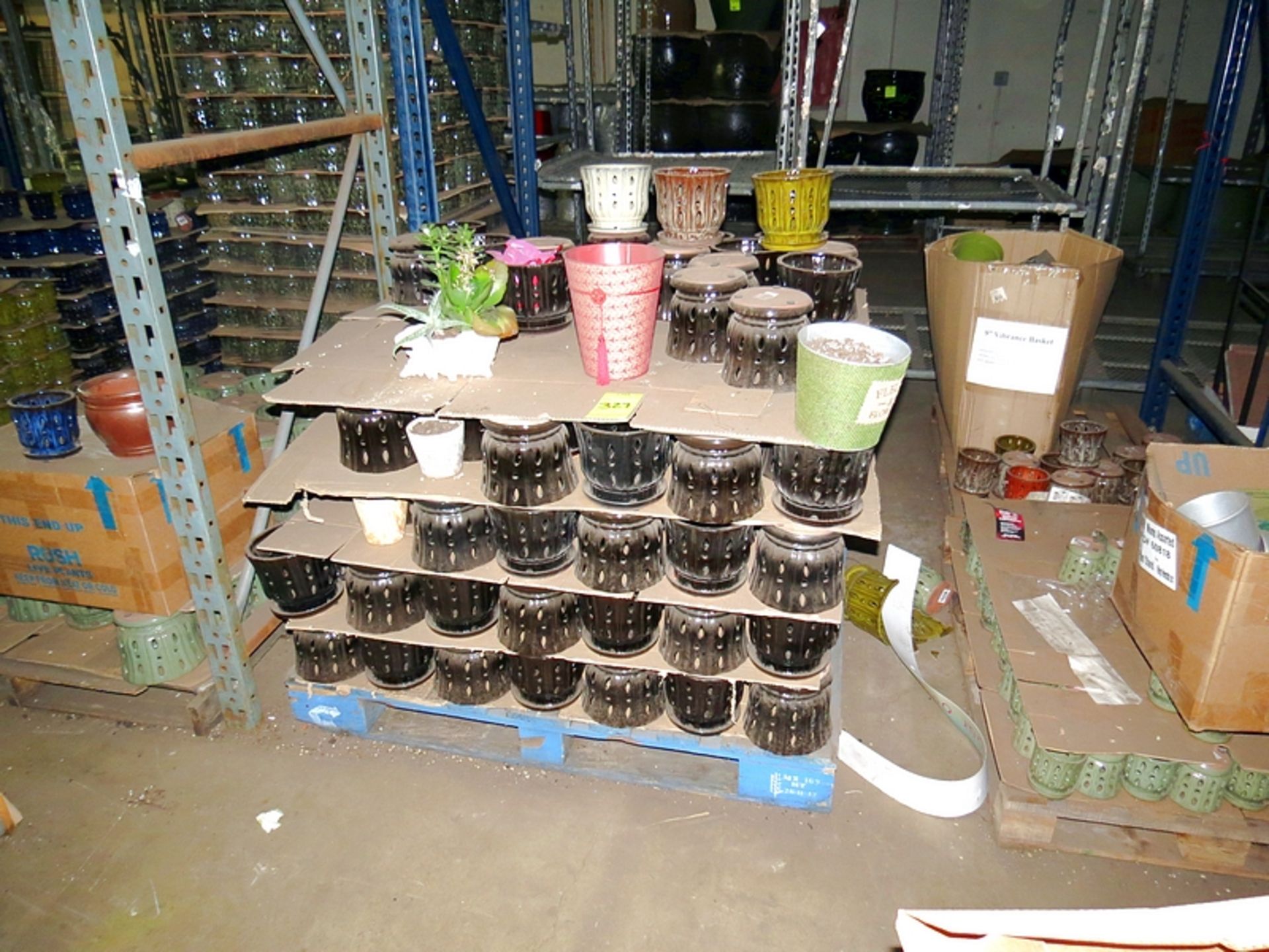 Lot 2 Pallets Assorted Pots & 6" Orchid Pots - Image 2 of 2