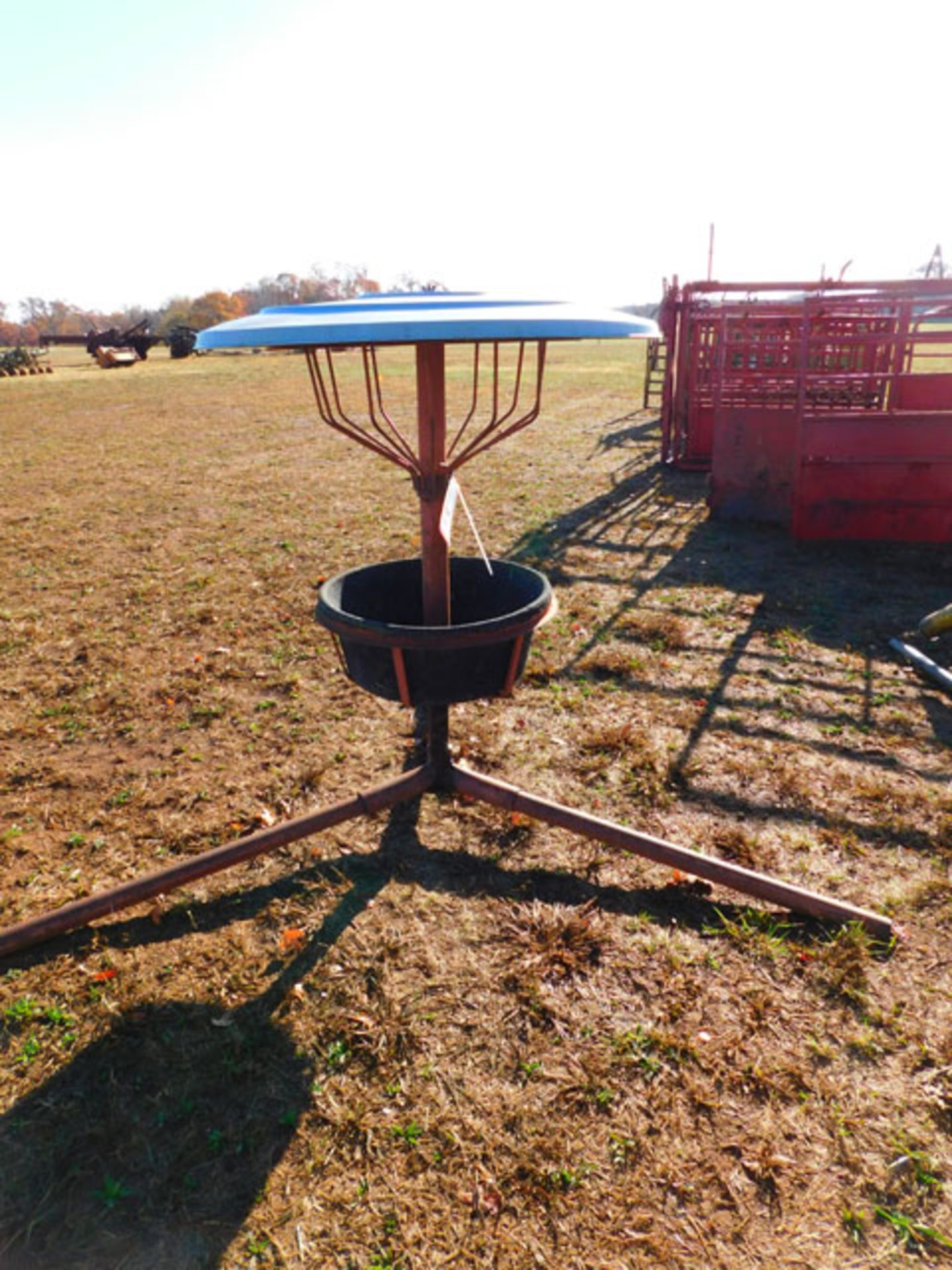 Salt Lick Feeder