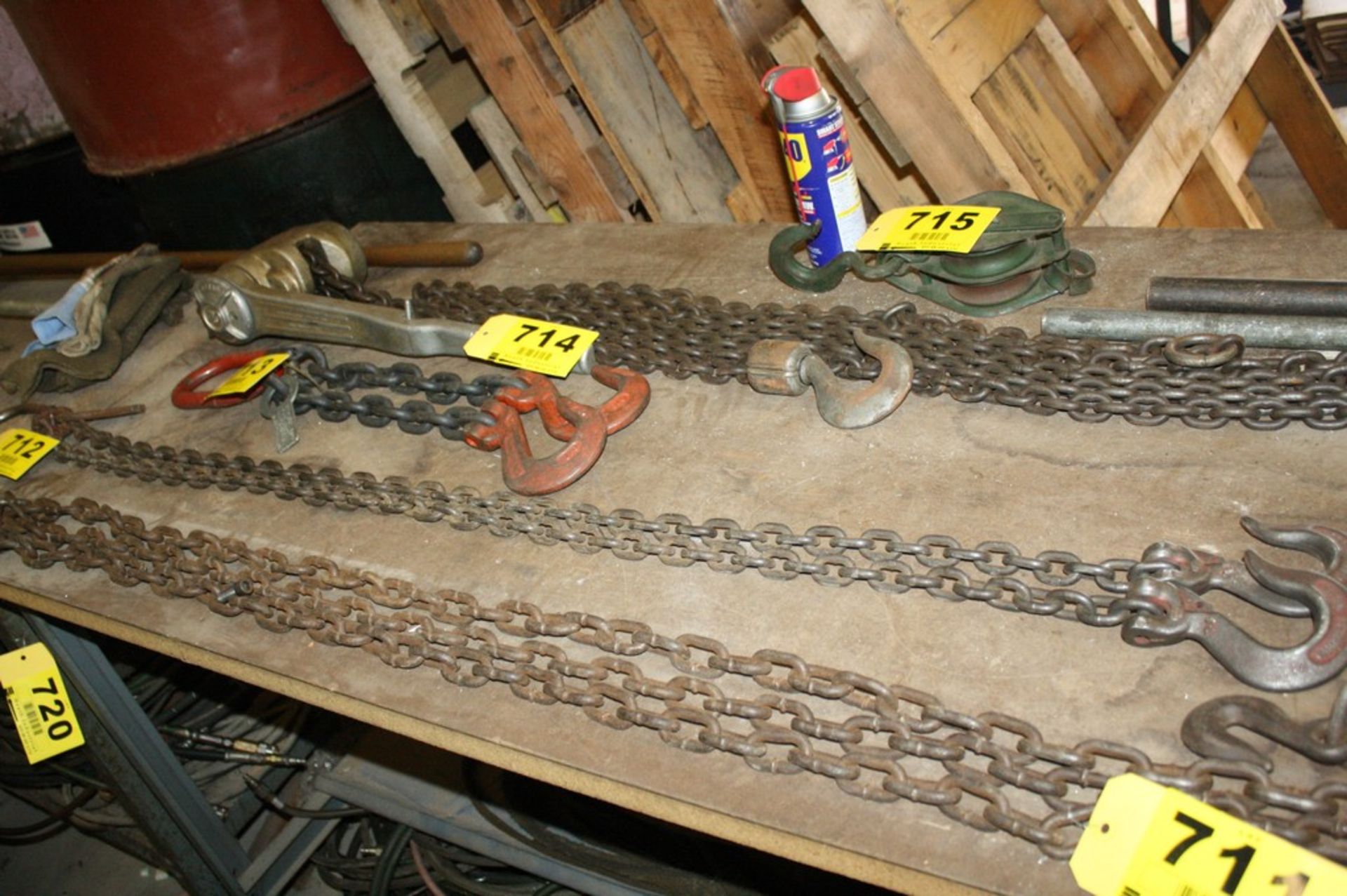 51" 2 LEG CHAIN WITH HOOKS CERTIFIED