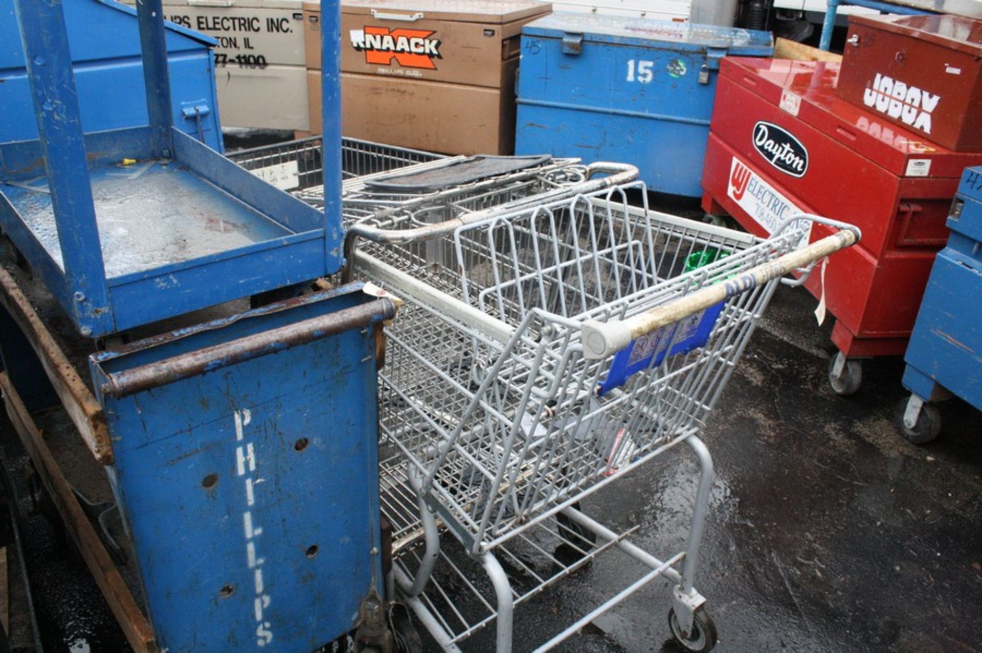 (2) SHOPPING CARTS