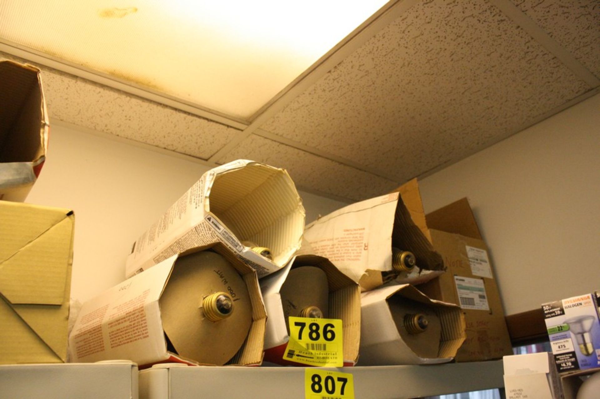 ASSORTED LIGHTING ON SHELF