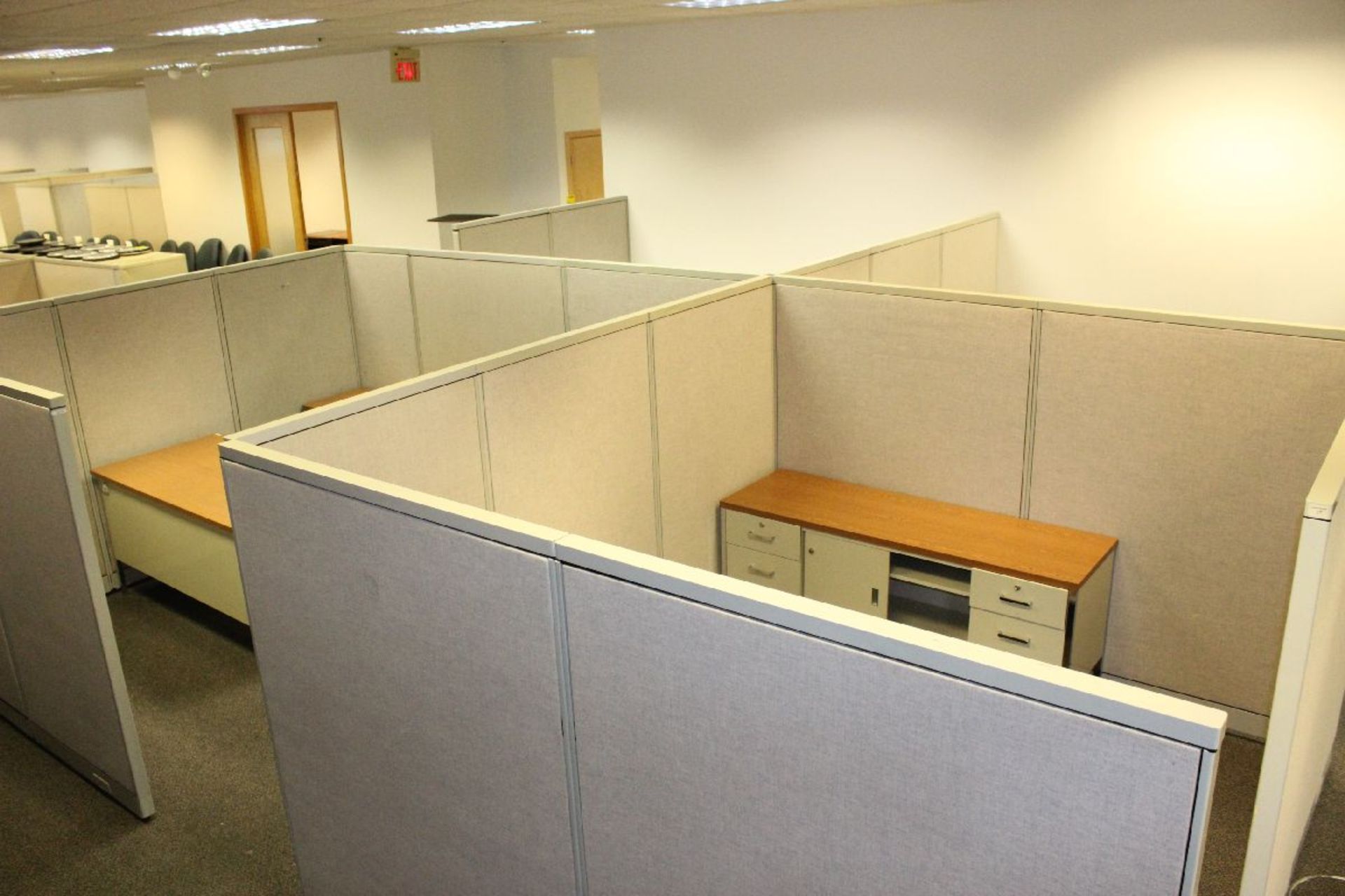 CUBICLE SECTION WITH STEEL FURNITURE-APPROX. AREA - 18' X 18'