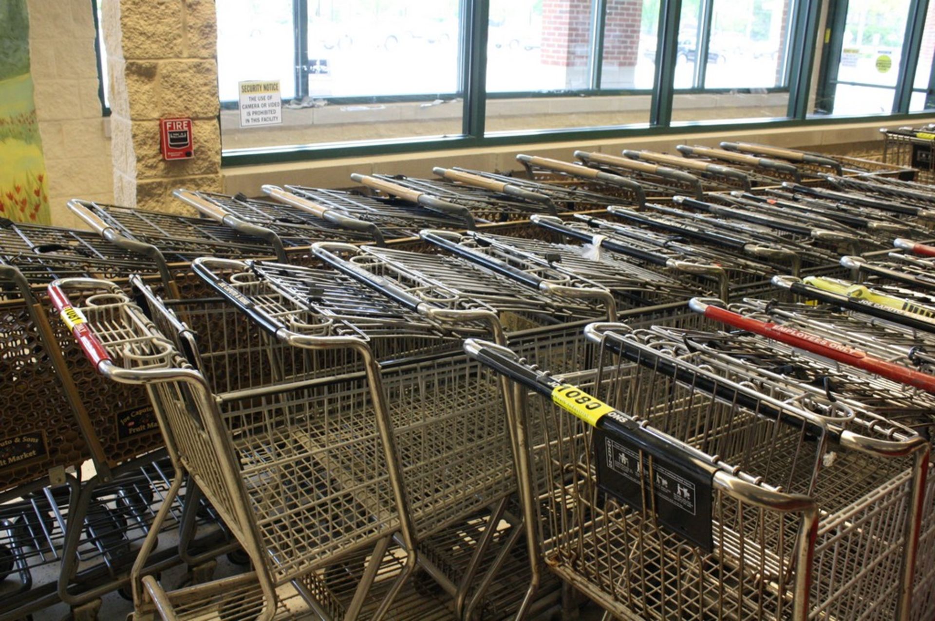 SHOPPING CARTS