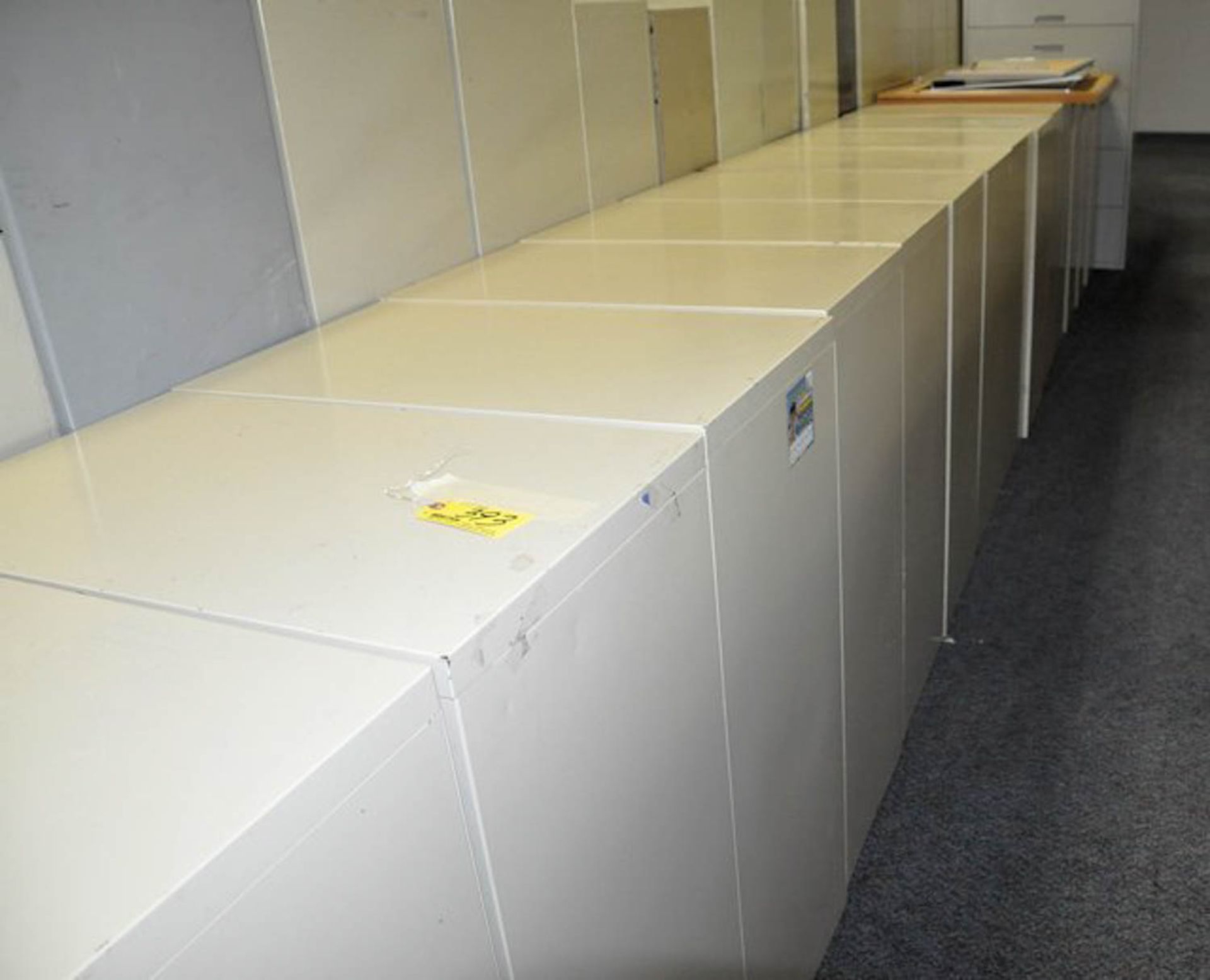 LOT OF (19) FILE CABINETS