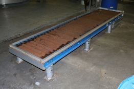 119" LX26"W Roller Conveyor (Used For Drum Filling Station)