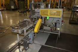 Ryburg Semi-Automatic Case Packer, Series R-149 with Painted Frame