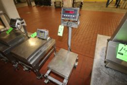 Rice Lake Aprox. Nmax 10,000 Capacity S/S Digital Scale, Model IQ+355-2A, Class III, S/N 168547 with