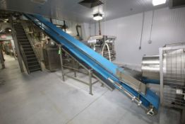 Marchant Schmidt 35 ft. L x 18" W S/S Inclined Belt Conveyor with Ribbed Belt, S/S Leg Supports, S/S
