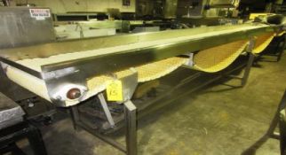 S/S Conveyor 20" W x 200" L, Electric Drive (Located in San Diego)***DOSA***