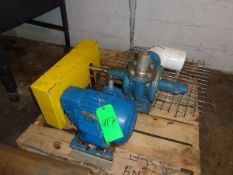 PD Pump with Relief Valve and US Electric Drive Motor and Flanged Inlet-Outlet and Chain -