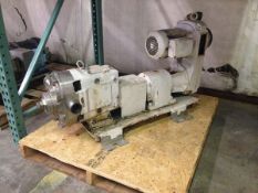 Waukesha Positive Displacement Pump, Model 60, S/N: 164306, 3HP,  2in IN 2in OUT(Located in North