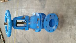 Water Cutoff Valves 4in IN 4in OUT Model: 105W11 Code: 1065-214, Set of Two, Iron Body-Resilient