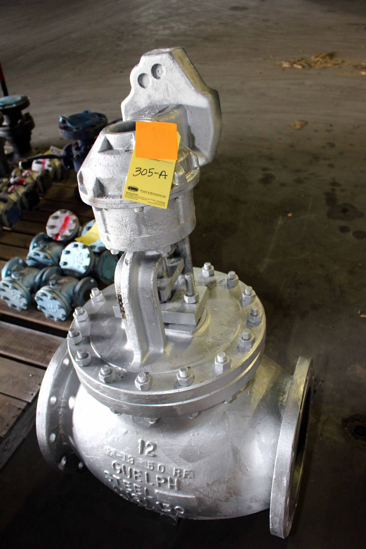 12", 150 LB. SOLID 316-L F/E B/B OSTY GEAR OP. GLOBE VALVE, GUELPH