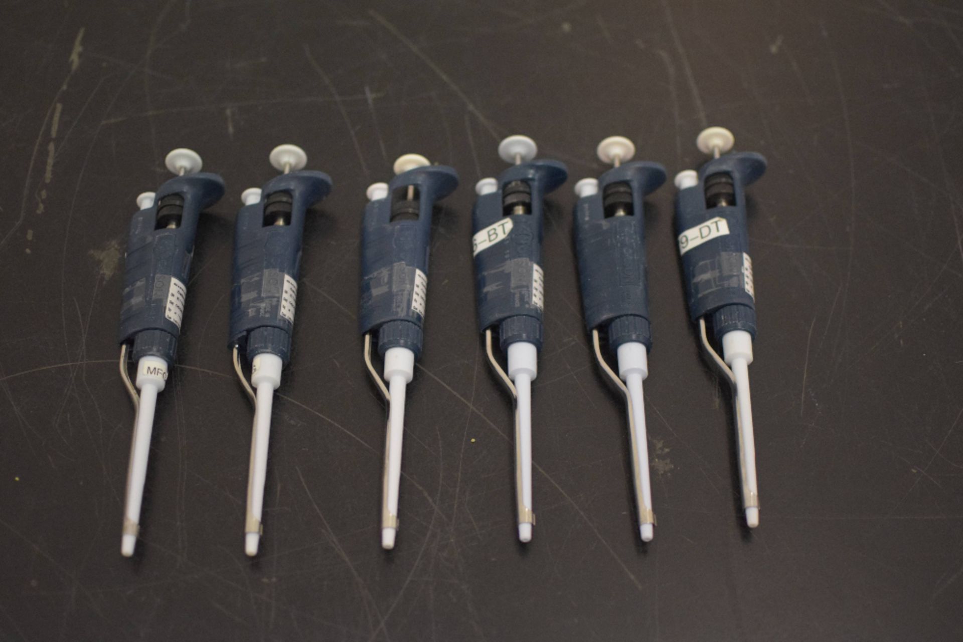 Lot of 6 Gilson P200 20-200uL Pipettes