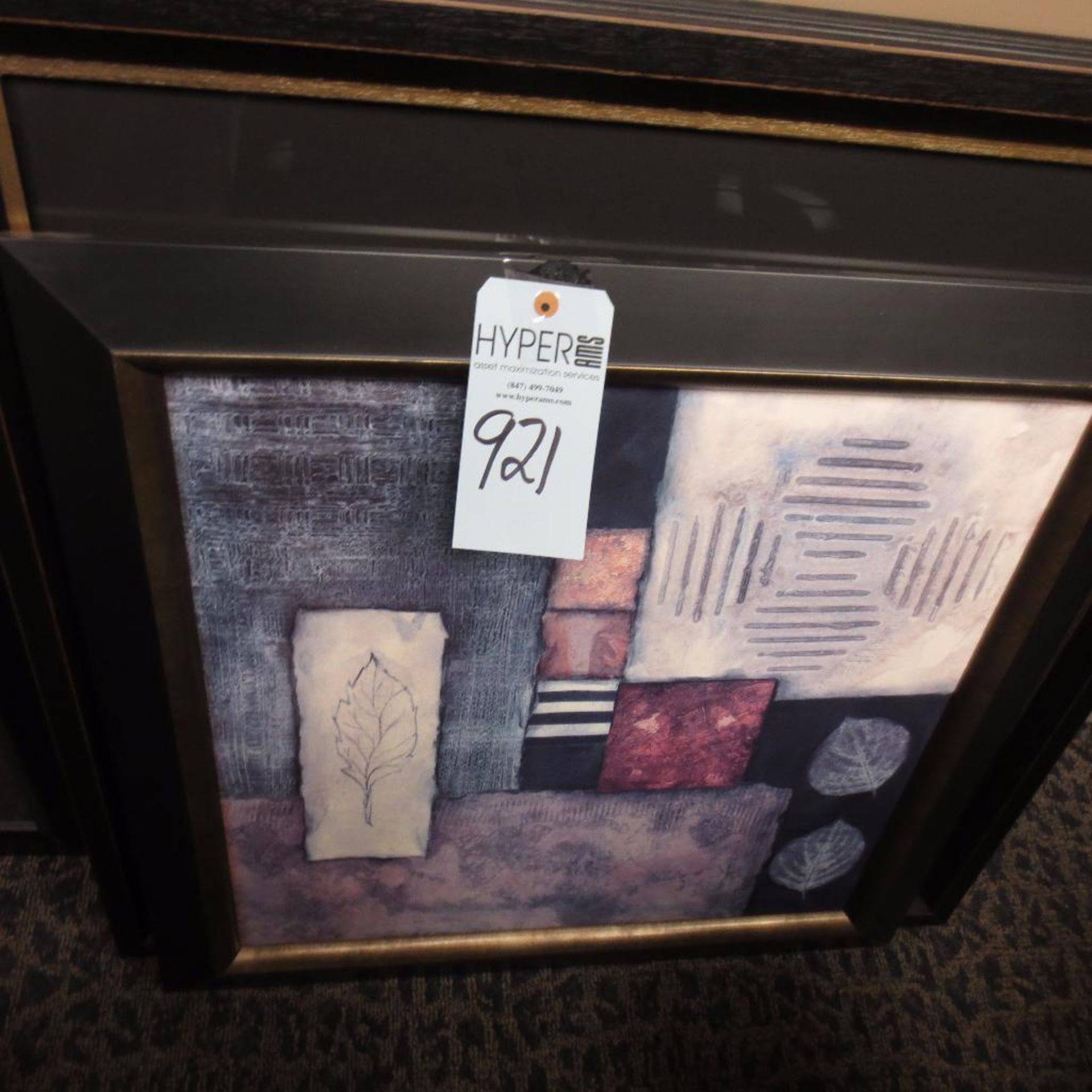 (3) Framed Art Photos