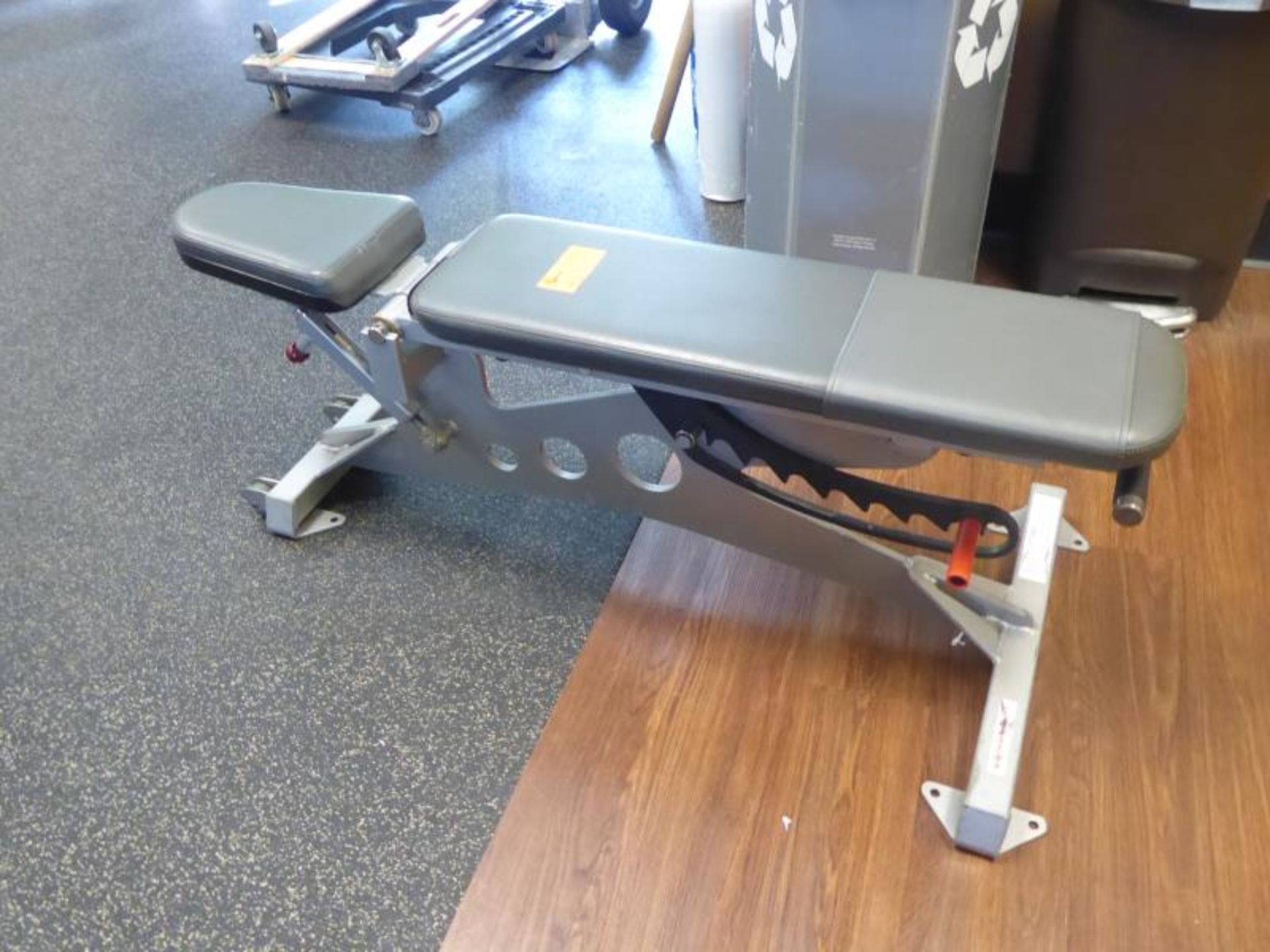 Exercise Bench, Model: FBR-716