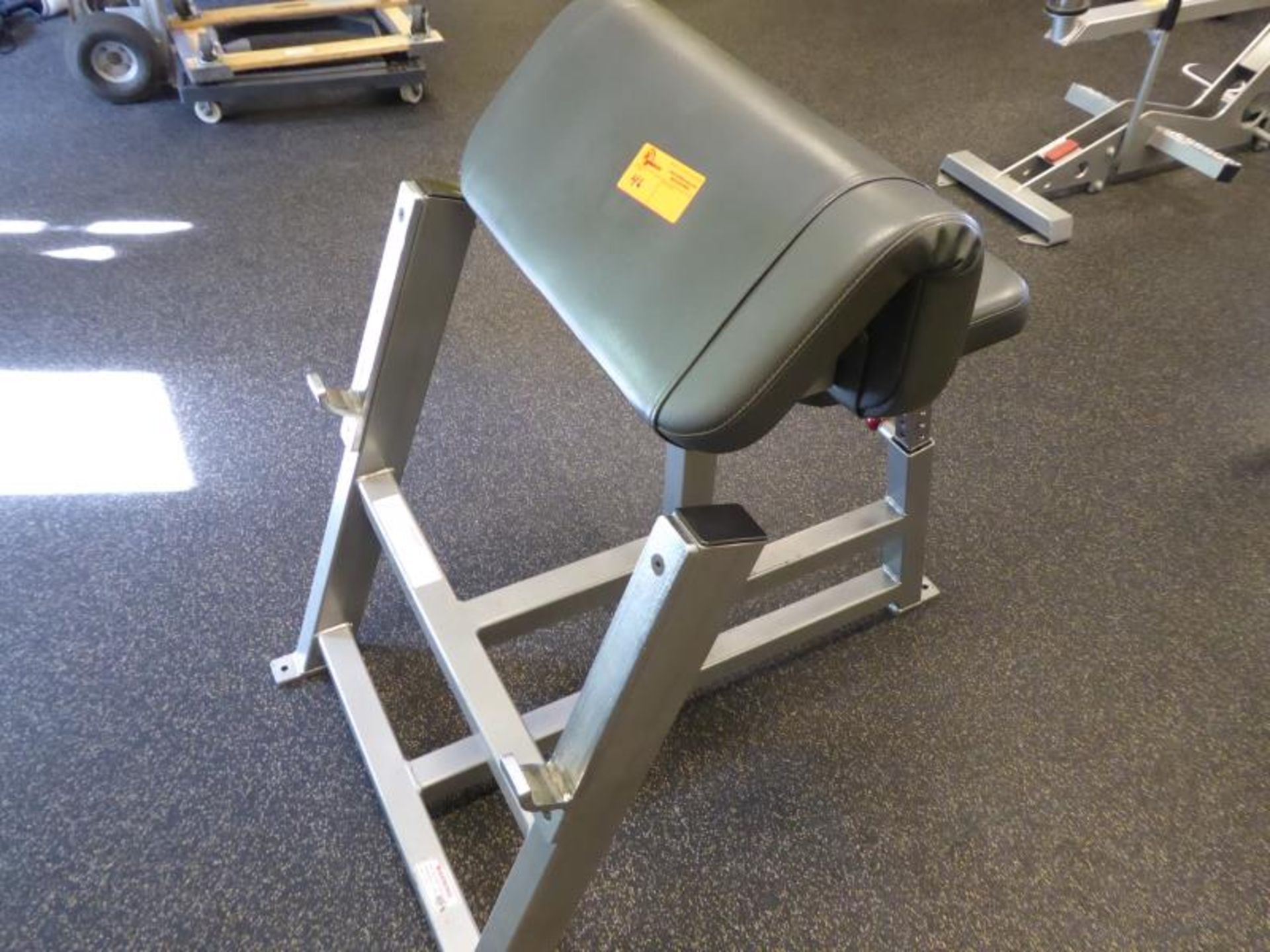 Curl Bench, Model: FA-503