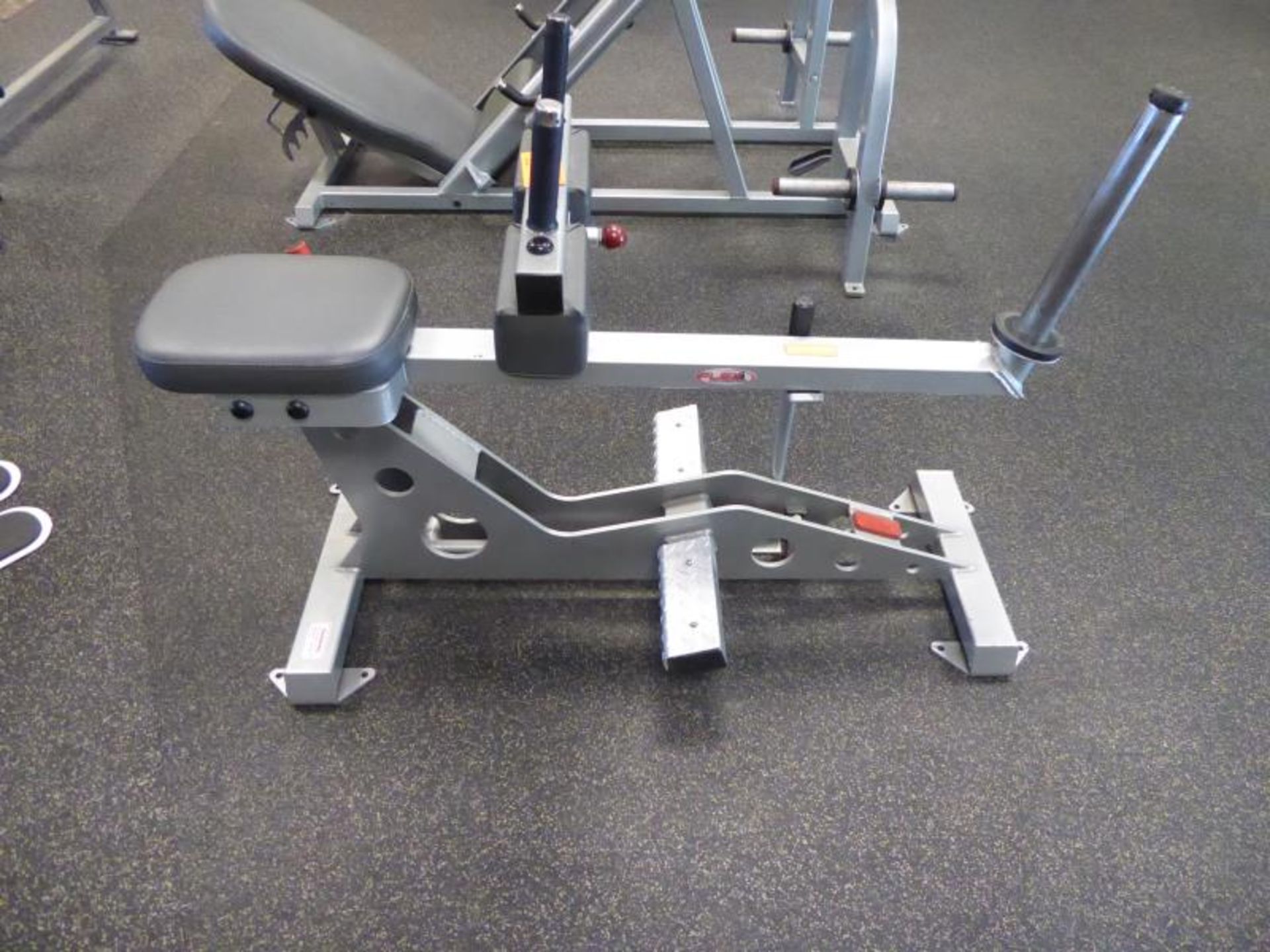 Seated Calf Raise, Flex Fitness, Model: FL-111, SN: FW707070 SN: FW707070