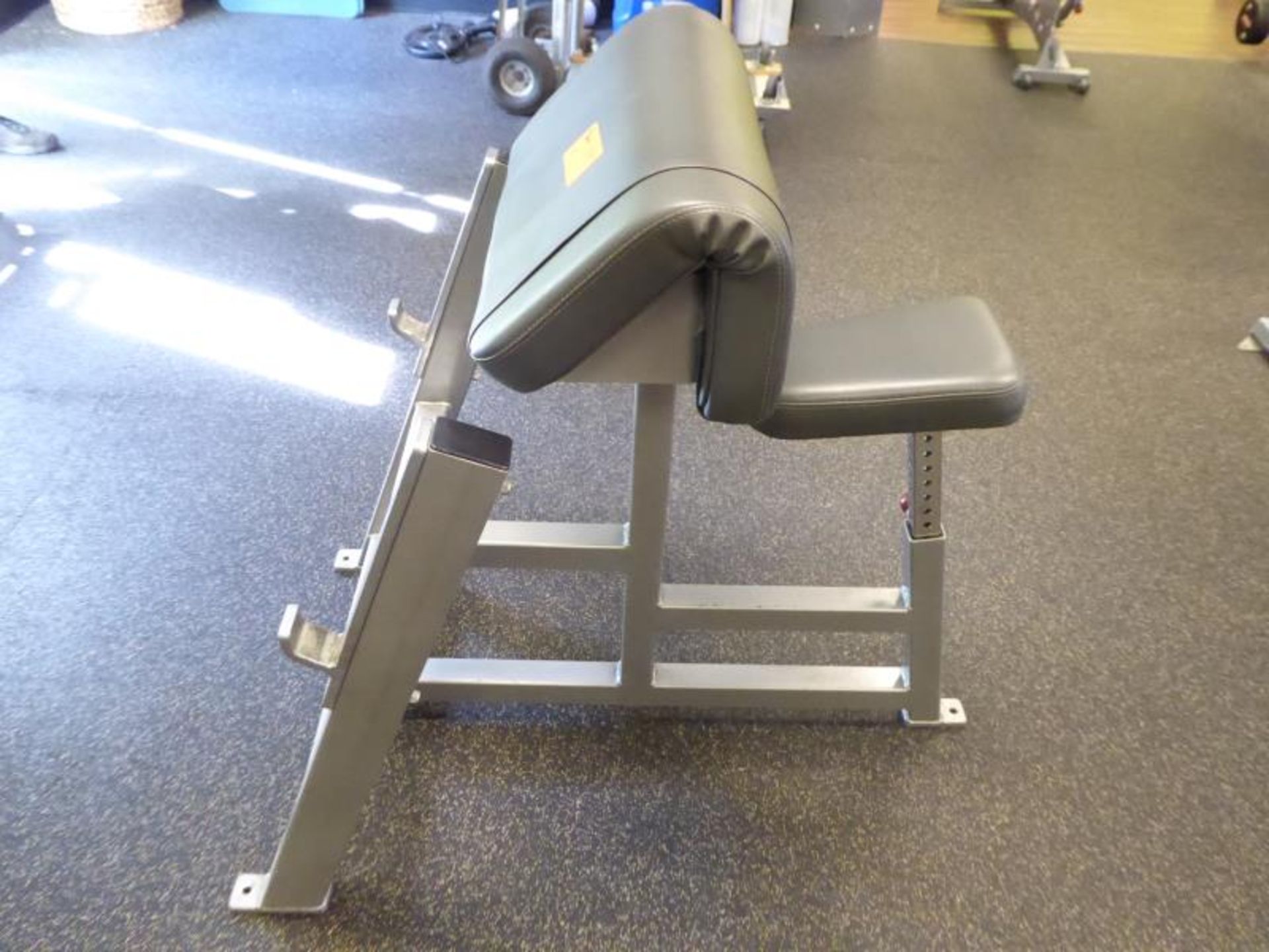 Curl Bench, Model: FA-503 - Image 2 of 3