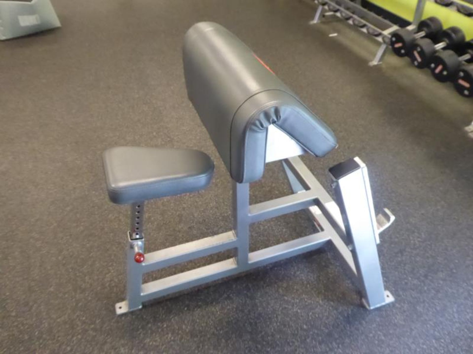 Curl Bench, Model: FA-503 - Image 3 of 3