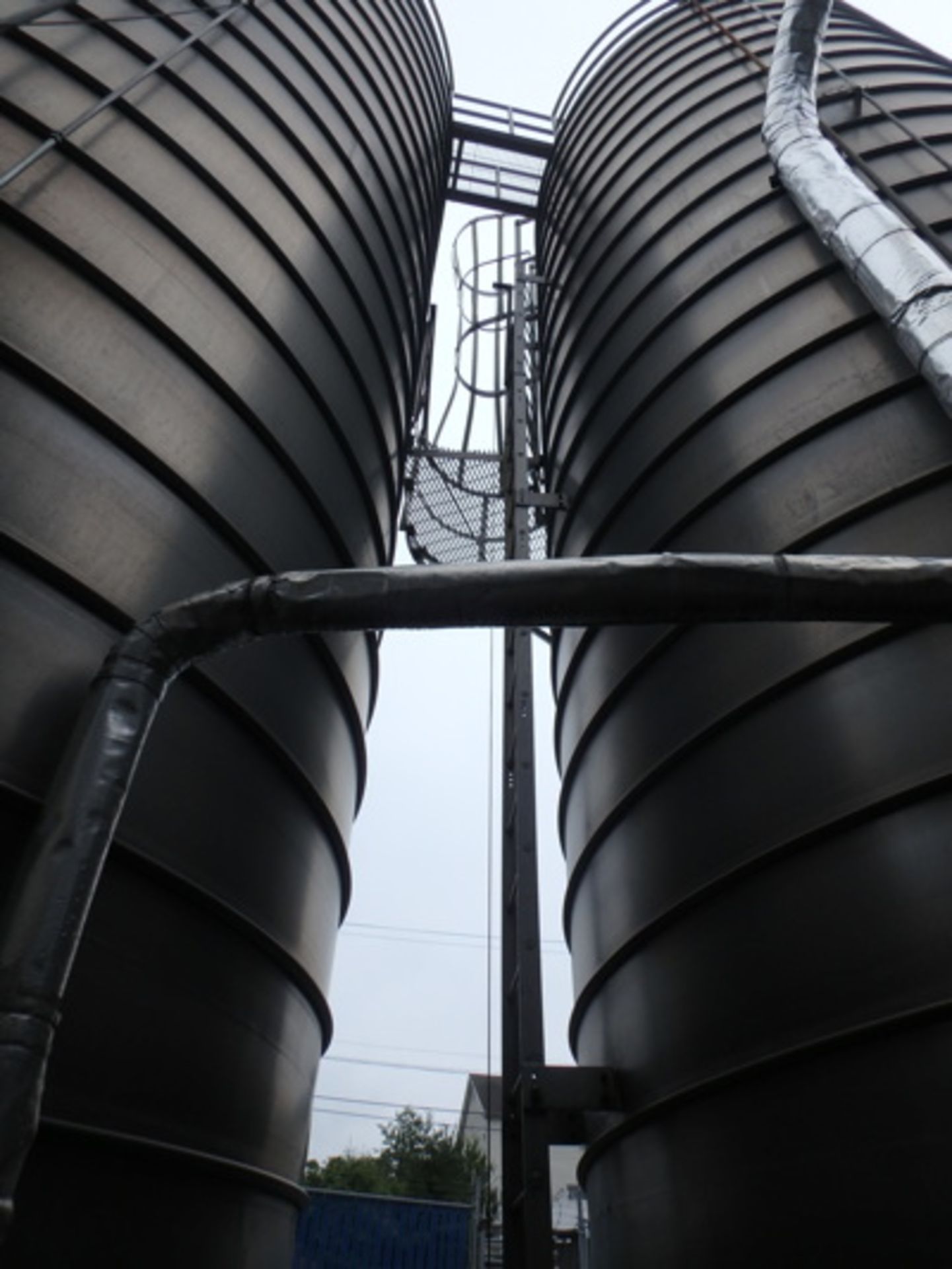 Catwalk between Silos, Ladder, Safety Cage (Asset Location: Outside), (Site Location: Thorndale, PA)