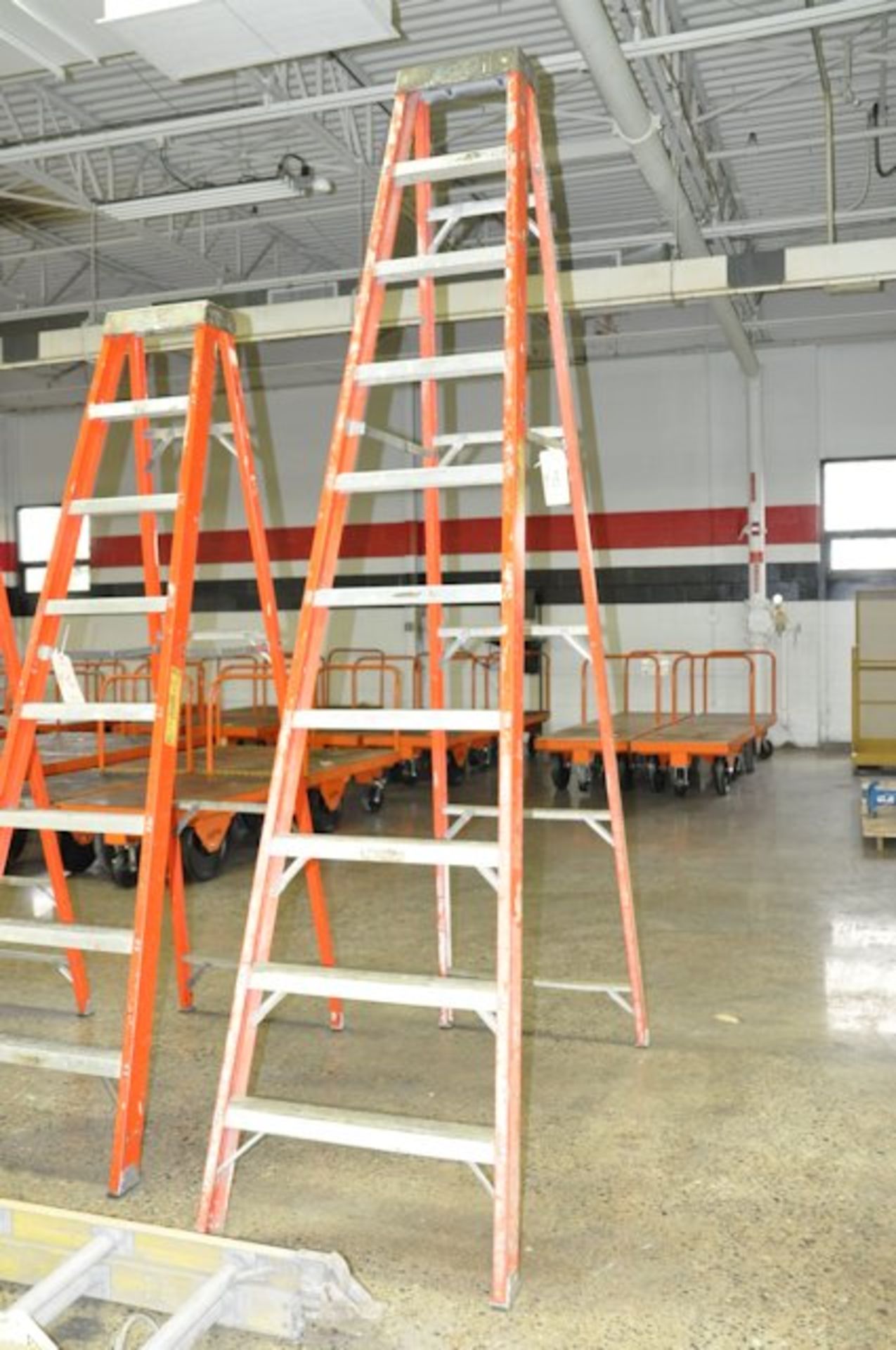 LOUISVILLE 10' Fiberglass Step Ladder