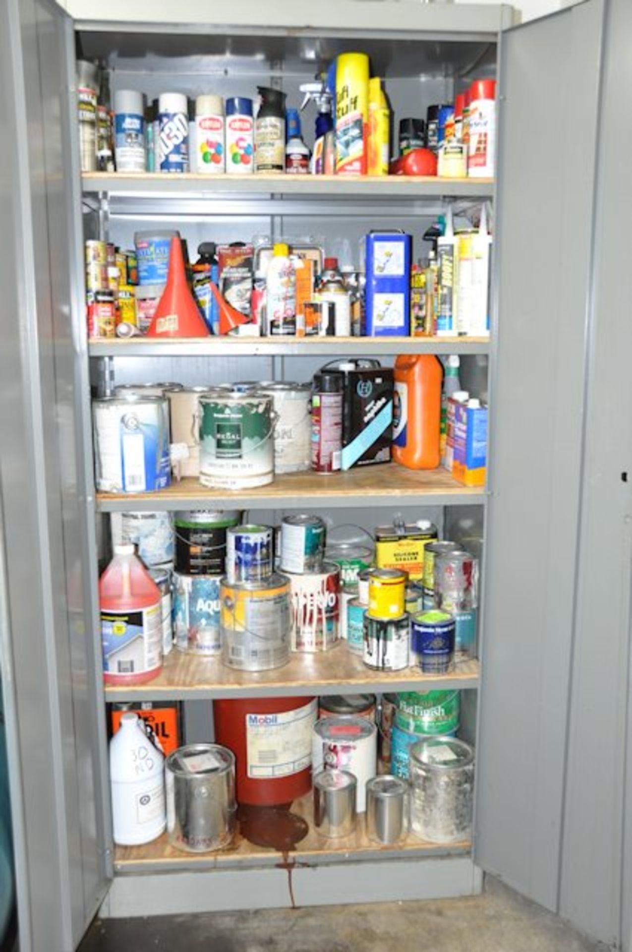2-Door Supply Cabinet with Assorted Paint Contents