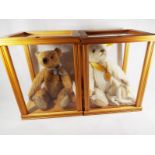 Two Steiff bears, both with buttons in ears and both in framed glass boxes 29 cm x 19 cm x 23 cm,