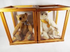 Two Steiff bears, both with buttons in ears and both in framed glass boxes 29 cm x 19 cm x 23 cm,