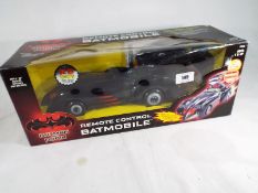 Batman and Robin - a Remote Control Batm