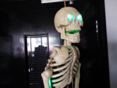 Gothic / Halloween interest - a full size Skeleton with illumination to eyes and other parts of the