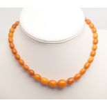 Row of butterscotch amber beads, weight 13 grams approx.