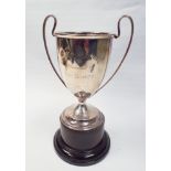 Silver twin handled trophy cup - Winton Floral Society , 13.