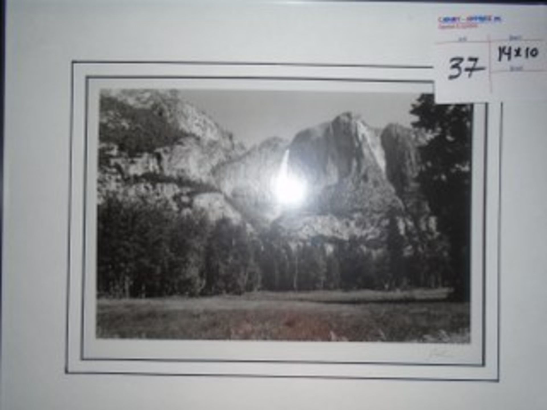 Jessie Kalisher "Yossemite Falls #1202 signature series" series 295/500