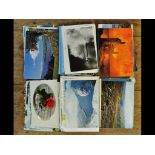 Assorted postcards (qty)