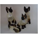 A Winstanley pottery Siamese cat, 28.