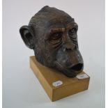 A Terry Webster bronzed resin chimpanzee's head, on a wooden plinth,