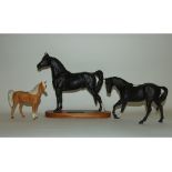 A Beswick Connoisseur Morgan Stallion, 2605 (ear chipped), a Black Beauty, 2466,