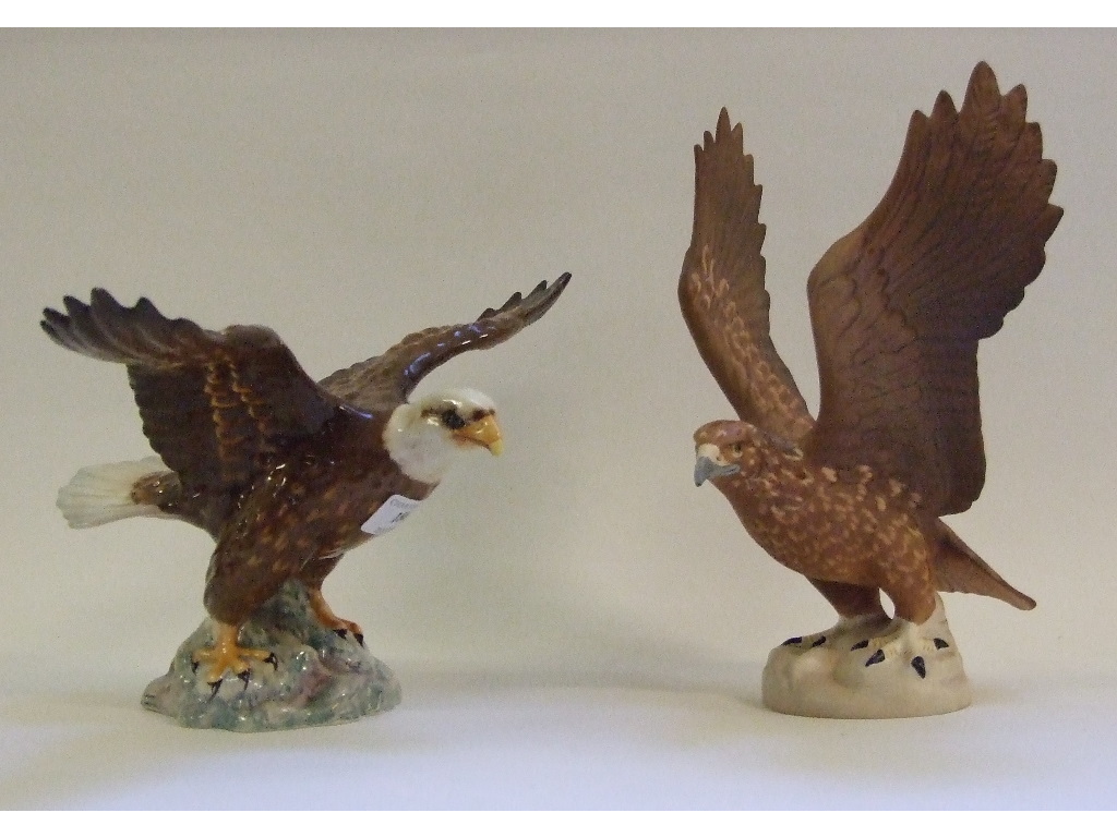 A Beswick Bald Eagle, 1018, gloss, a Golden Eagle, 2062, matt (firing cracks), an Owl, 2026,
