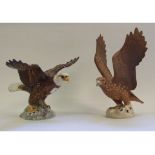A Beswick Bald Eagle, 1018, gloss, a Golden Eagle, 2062, matt (firing cracks), an Owl, 2026,