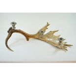 An antler, mounted as a three light candelabrum,