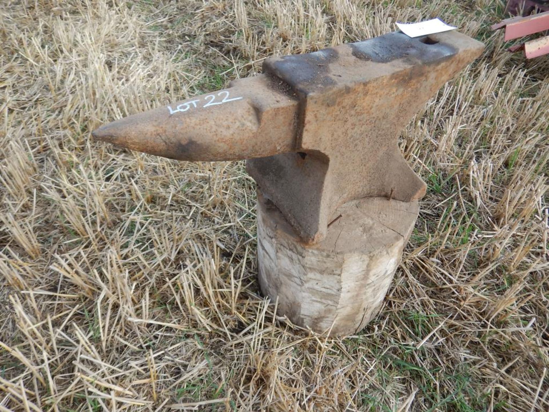 Anvil