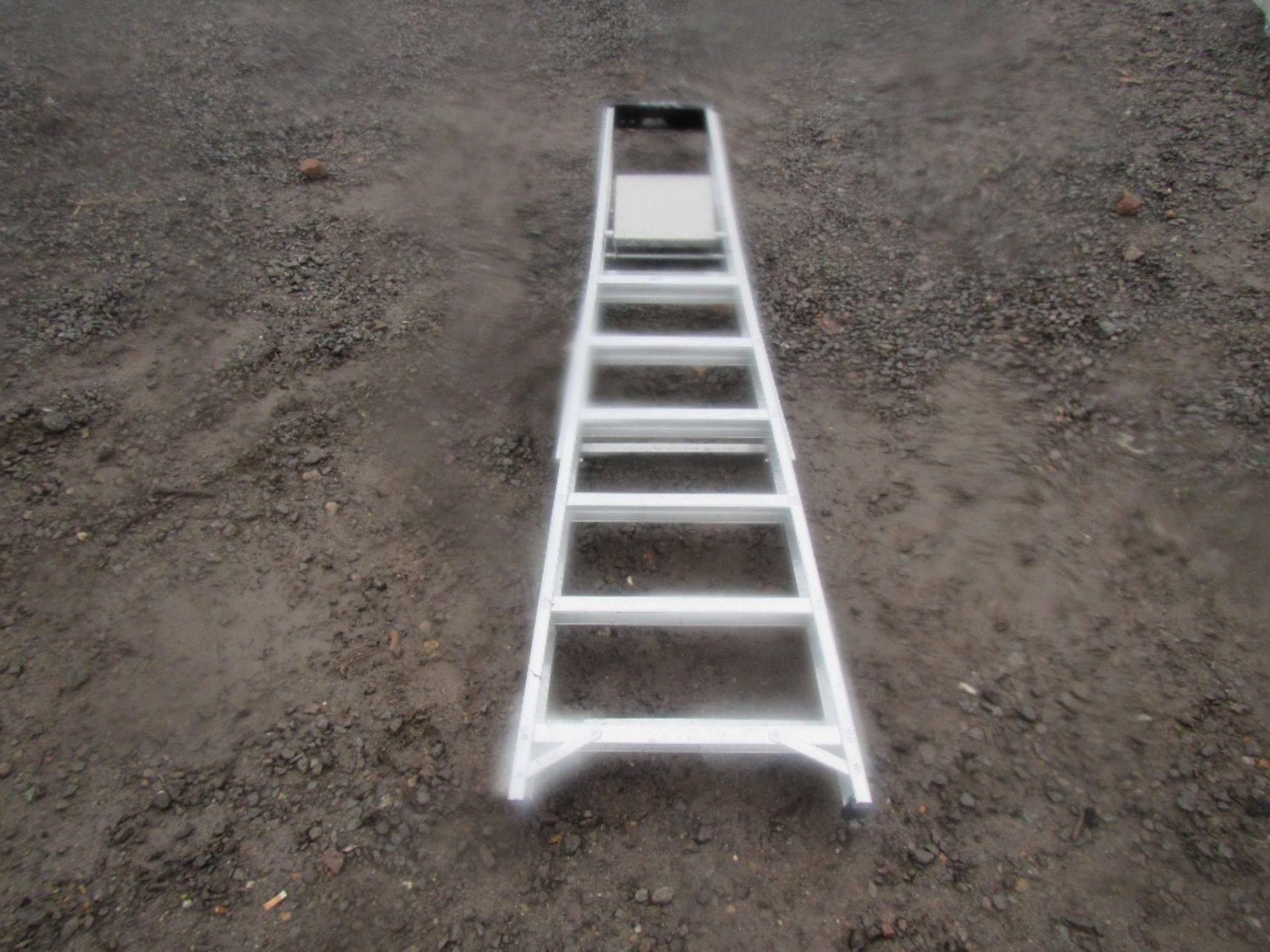Step Ladder UNRESERVED LOT