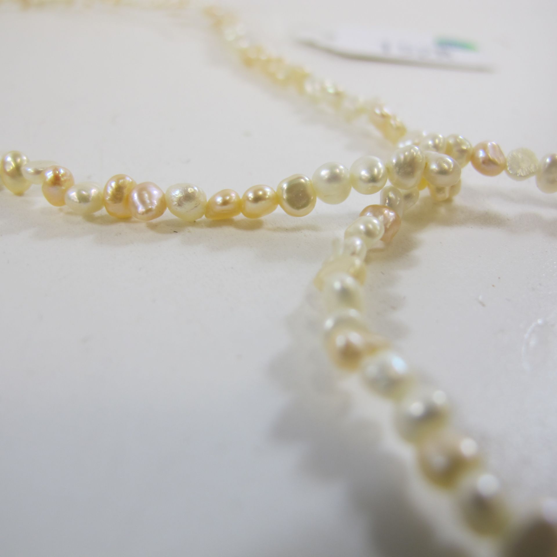 Freshwater Pearl Necklace and Bracelet (est £20-£40) - Image 2 of 2