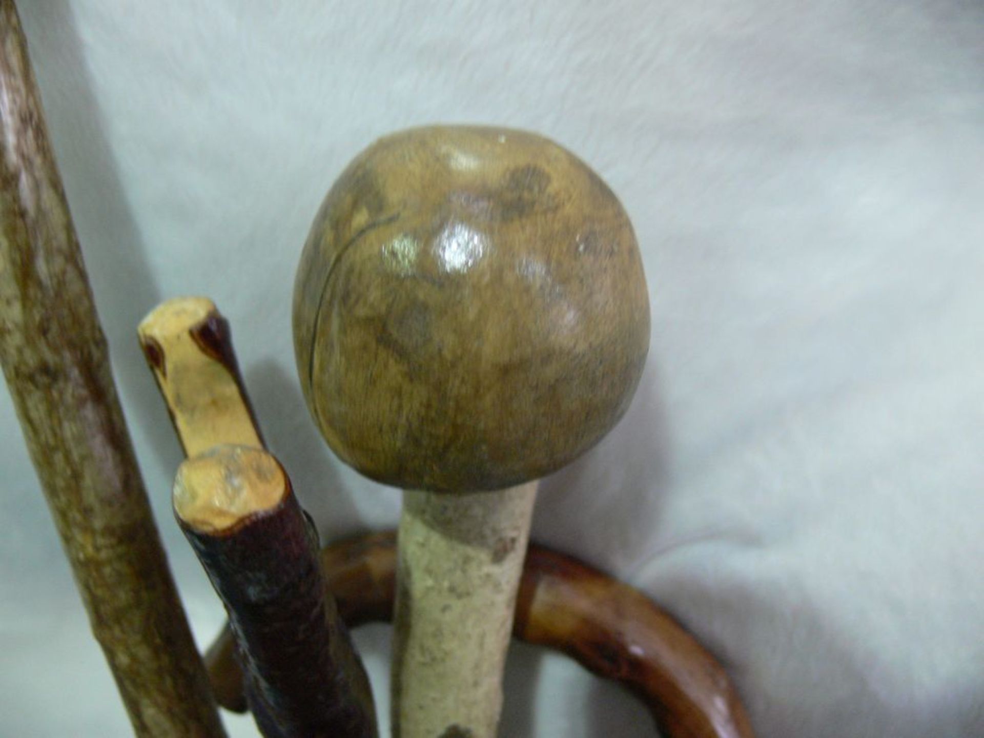 A selection of Walking Sticks together with a Leather Shooting Stick (6) (est £20-£30) - Bild 5 aus 10