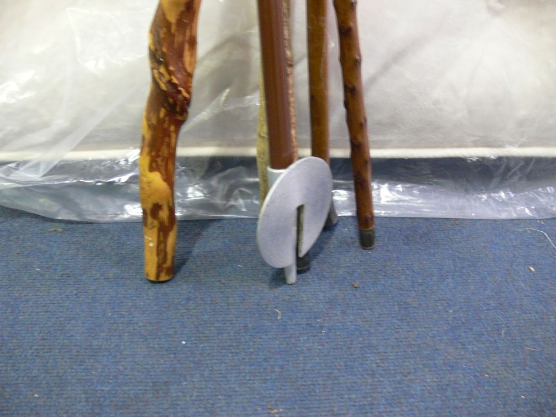 A selection of Walking Sticks together with a Leather Shooting Stick (6) (est £20-£30) - Bild 10 aus 10