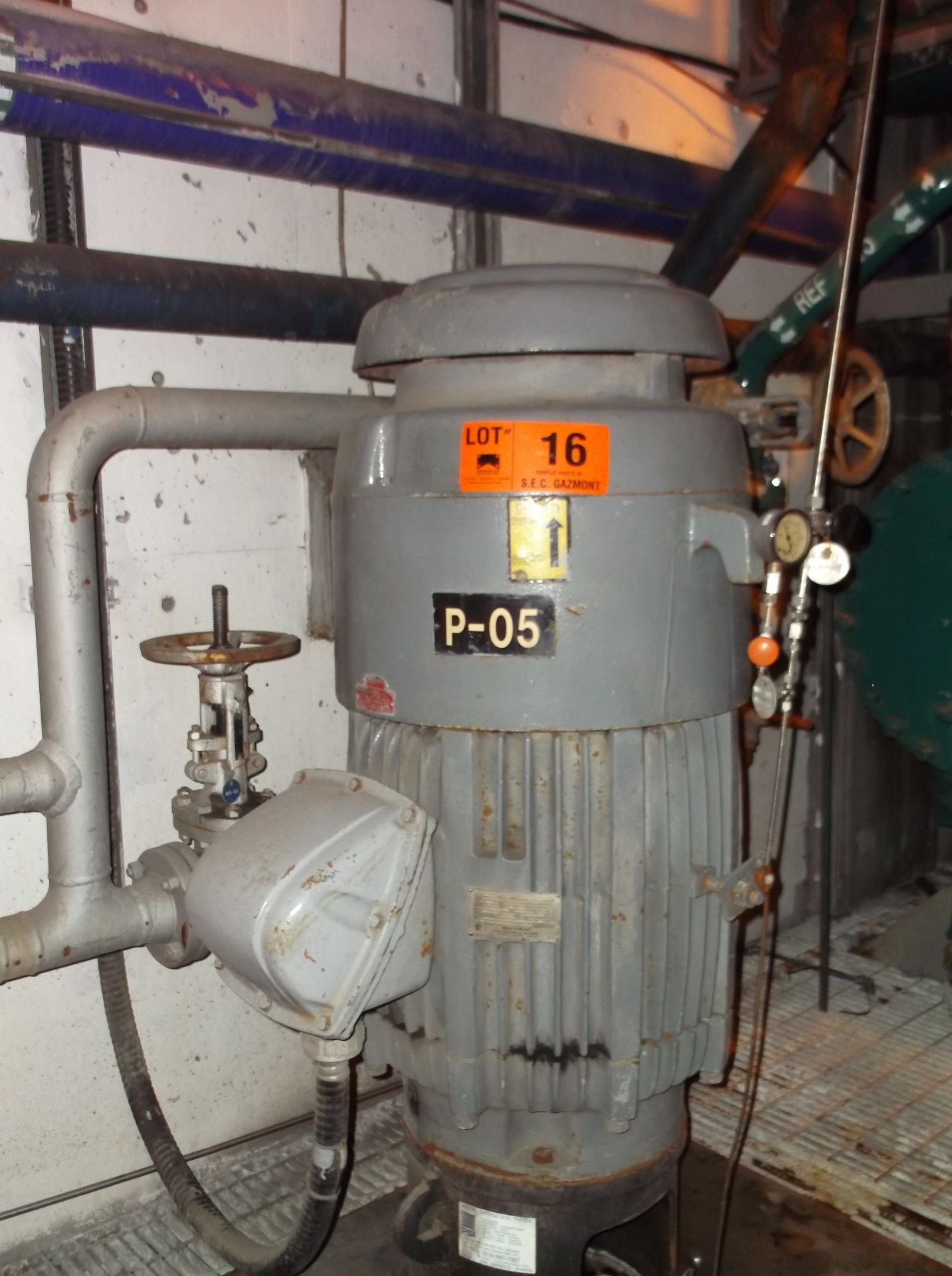 100 HP MOTOR WITH CENTRIFUGAL PUMP (CI)