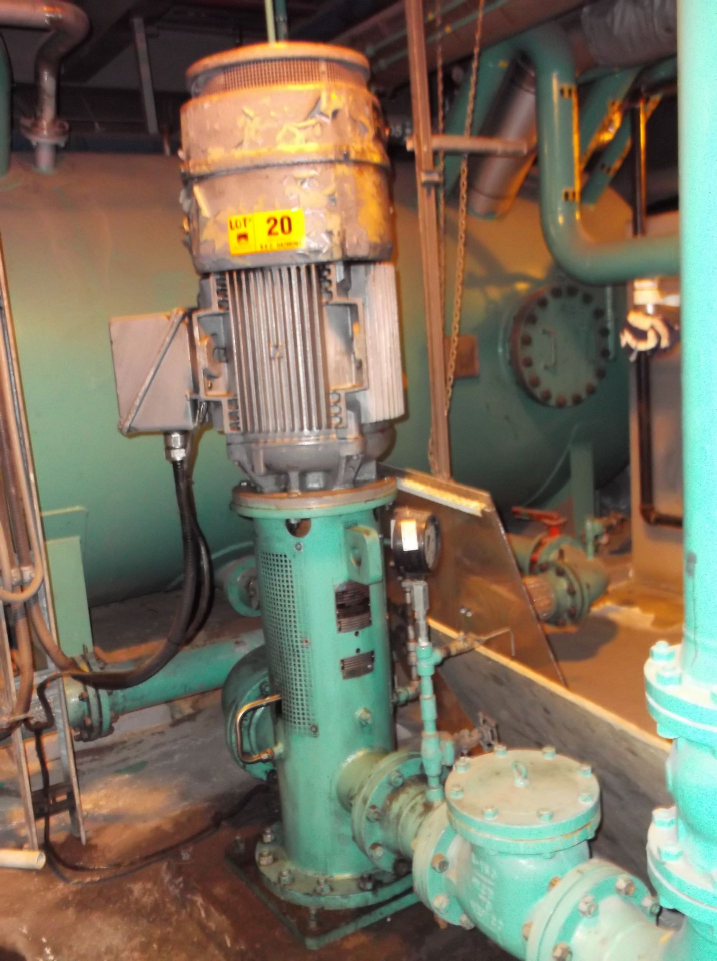 LOT/ 60 HP MOTOR WITH CENTRIFUGAL PUMP & VALVES (CI)