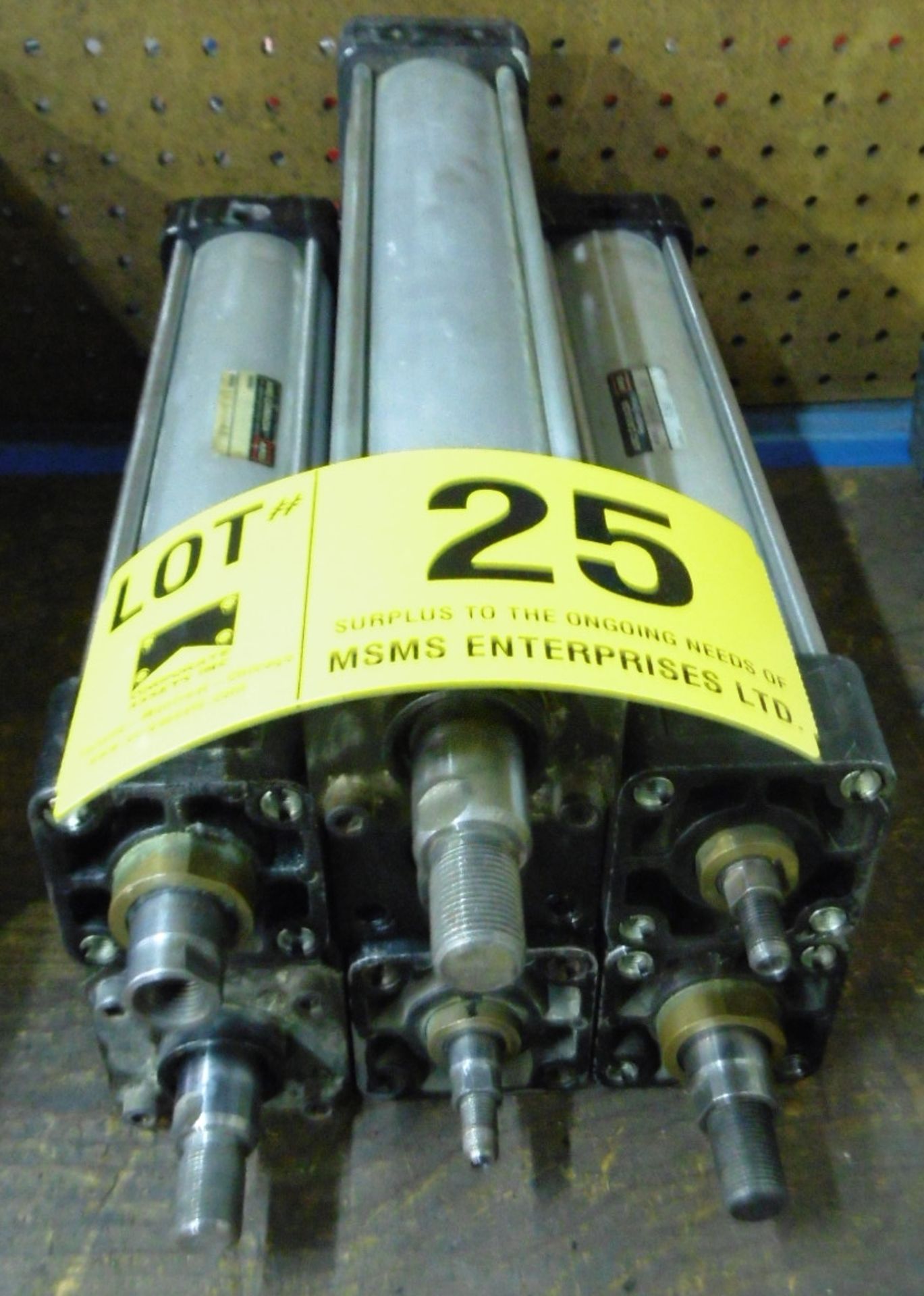 LOT/ PNEUMATIC CYLINDERS